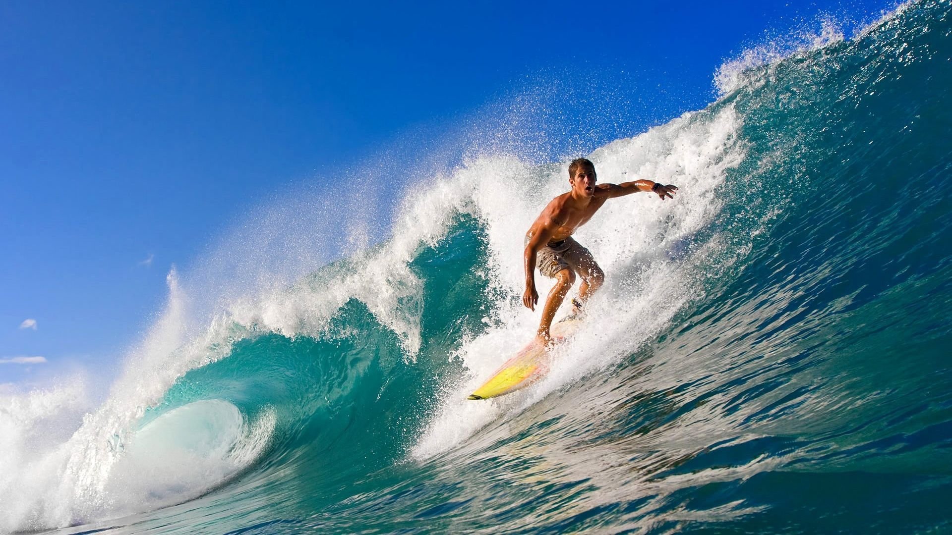 世锦赛巅峰对决,中国跳水梦之队包揽十金,美国田径新星打破尘封15年纪录